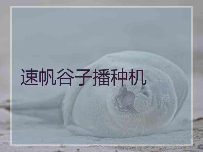 速帆谷子播种机