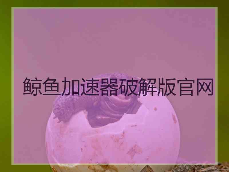 鲸鱼加速器破解版官网