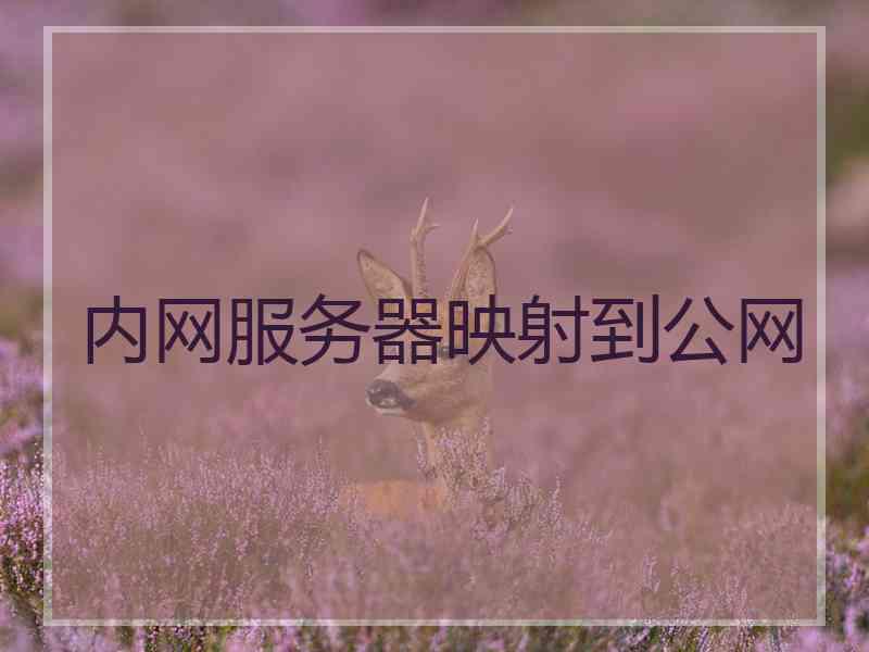 内网服务器映射到公网
