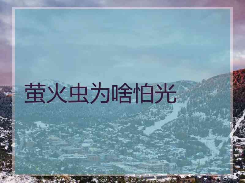 萤火虫为啥怕光