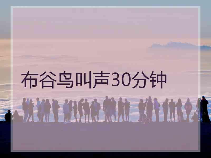布谷鸟叫声30分钟