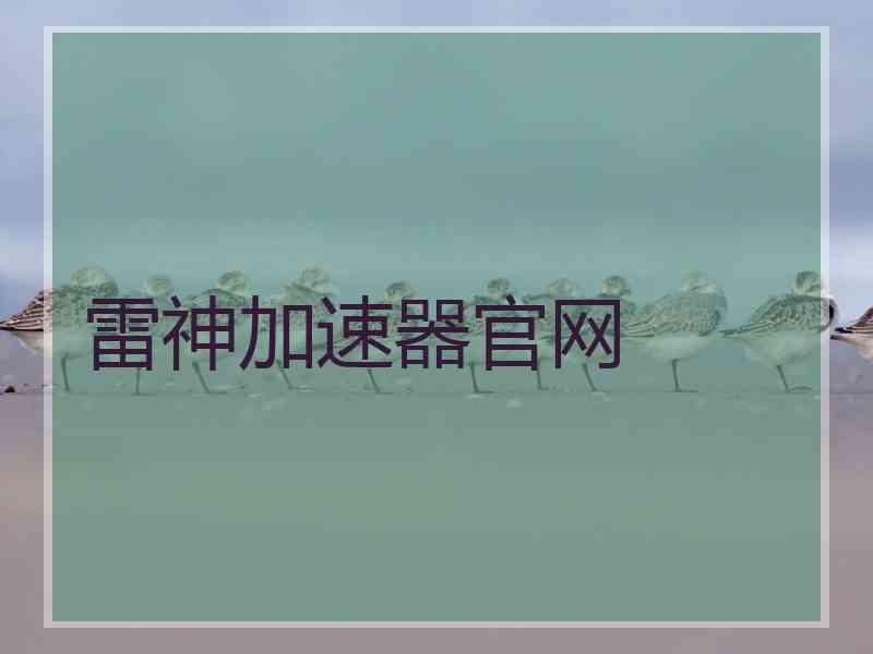 雷神加速器官网