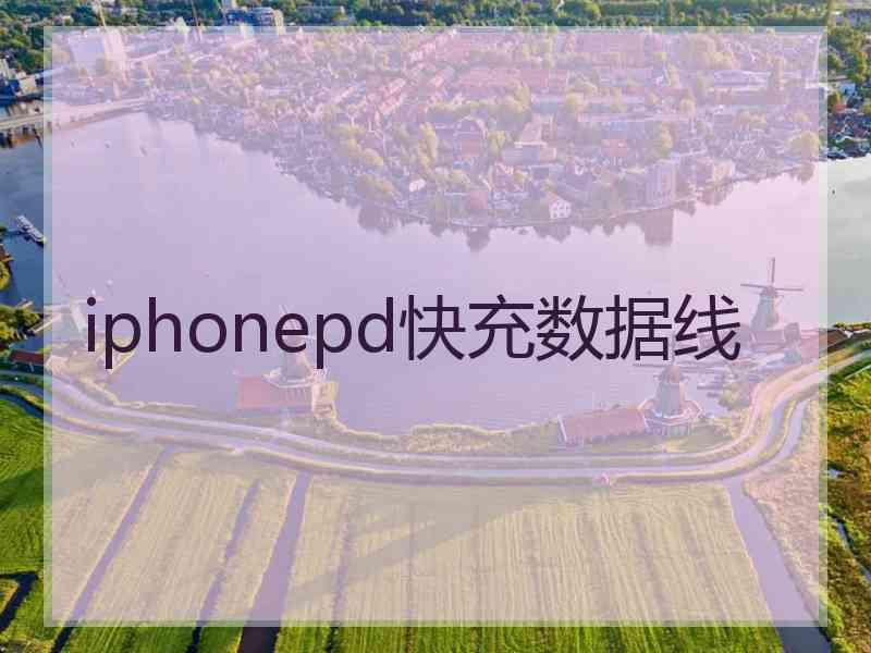 iphonepd快充数据线
