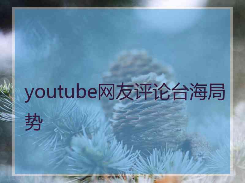 youtube网友评论台海局势