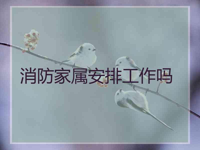 消防家属安排工作吗