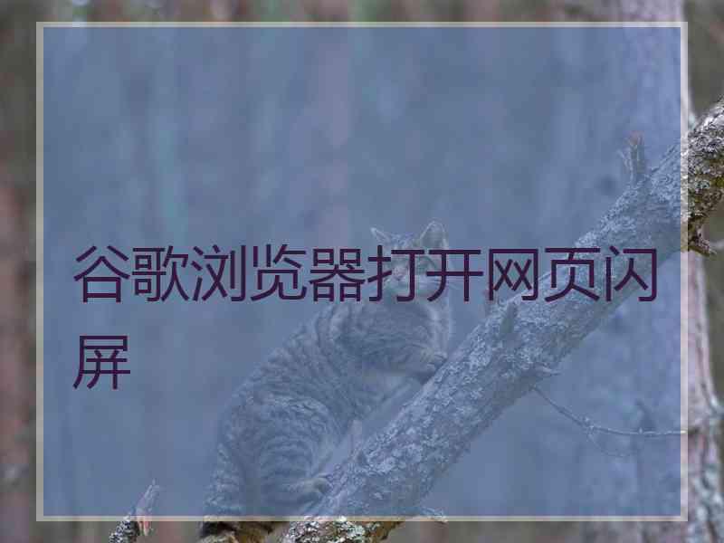 谷歌浏览器打开网页闪屏