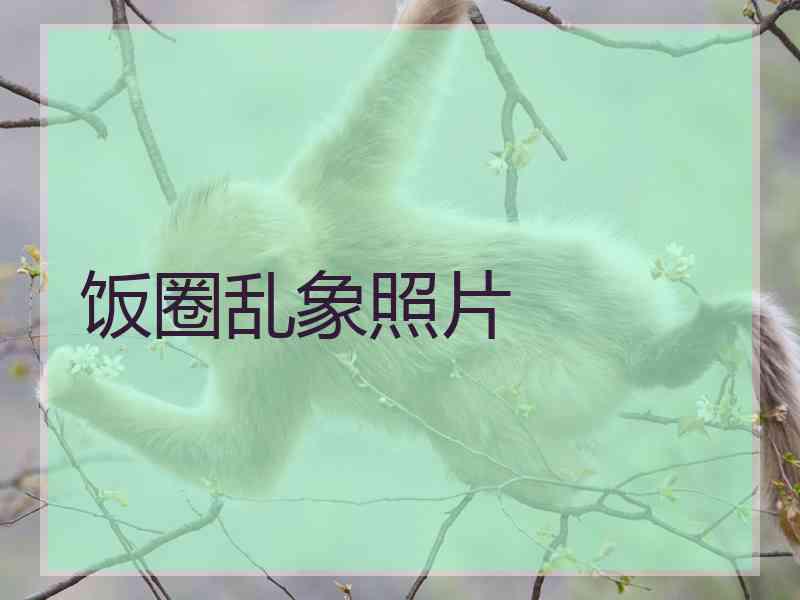饭圈乱象照片