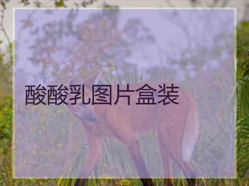 酸酸乳图片盒装