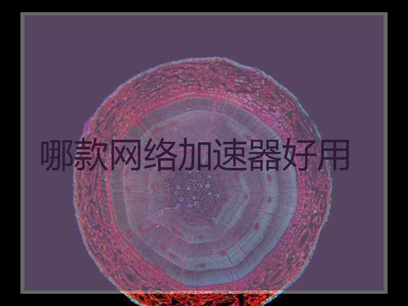哪款网络加速器好用
