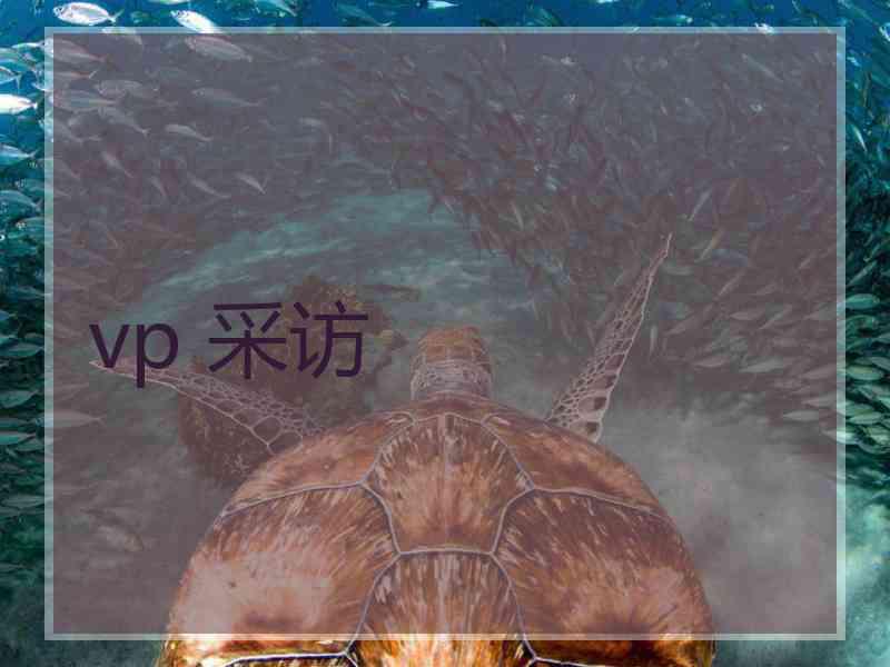 vp 采访