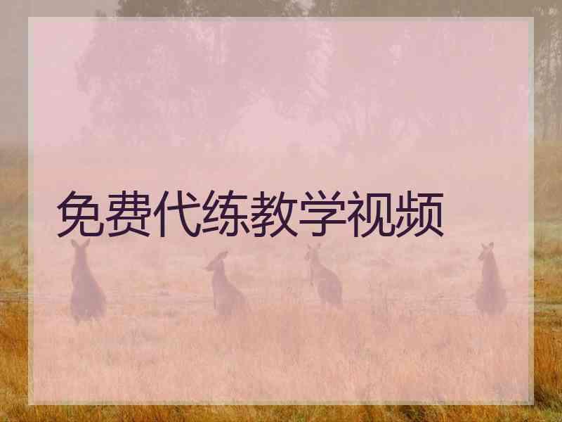 免费代练教学视频