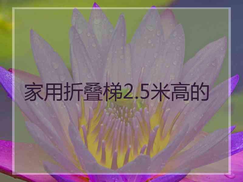 家用折叠梯2.5米高的