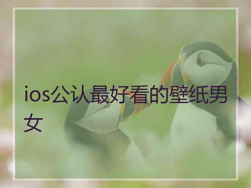 ios公认最好看的壁纸男女