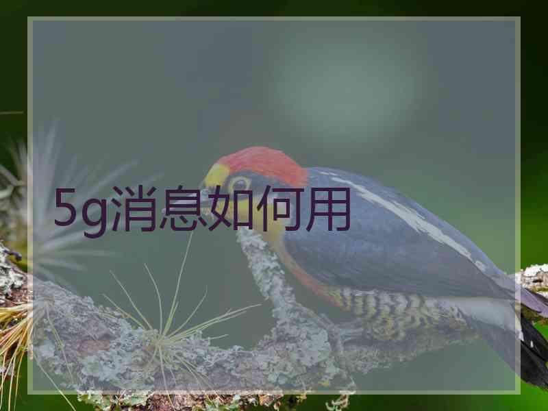5g消息如何用