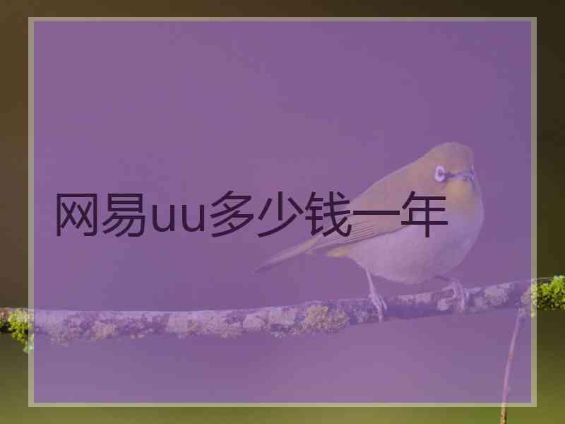 网易uu多少钱一年