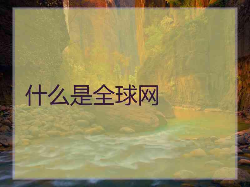 什么是全球网