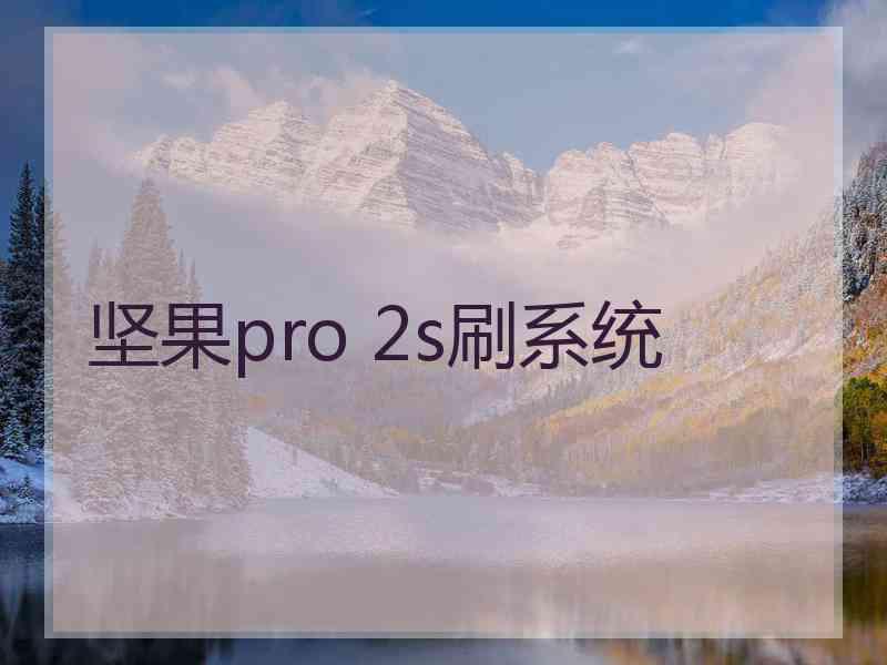 坚果pro 2s刷系统