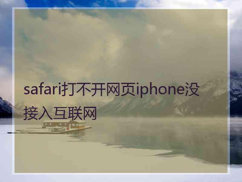 safari打不开网页iphone没接入互联网