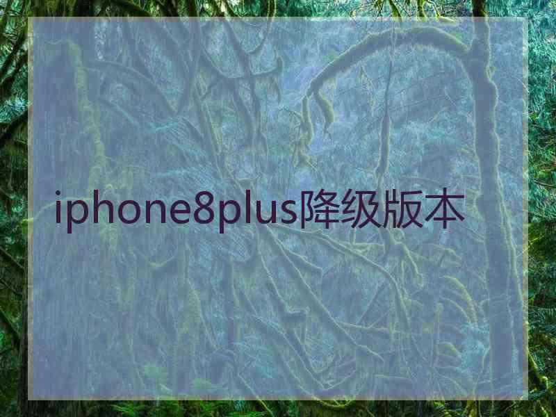 iphone8plus降级版本