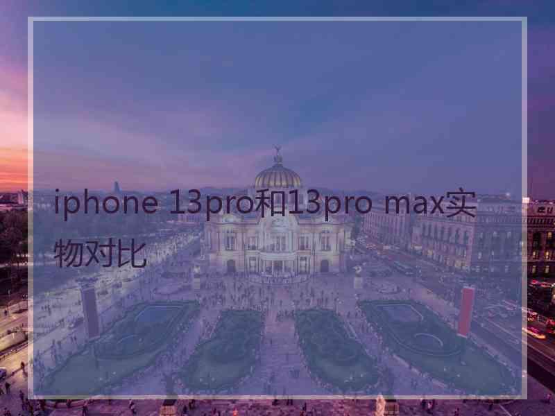 iphone 13pro和13pro max实物对比