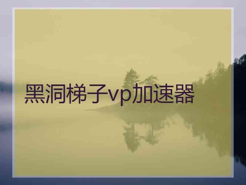 黑洞梯子vp加速器