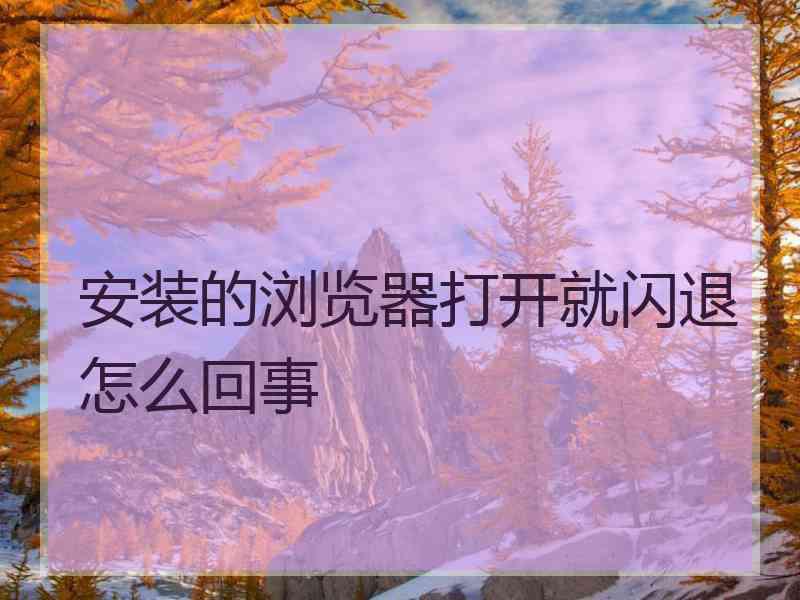 安装的浏览器打开就闪退怎么回事