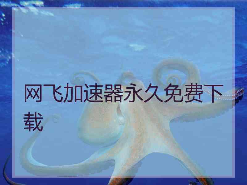 网飞加速器永久免费下载