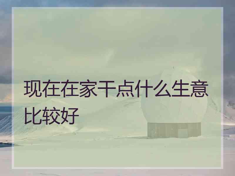 现在在家干点什么生意比较好