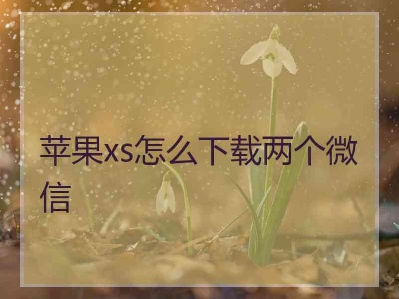 苹果xs怎么下载两个微信