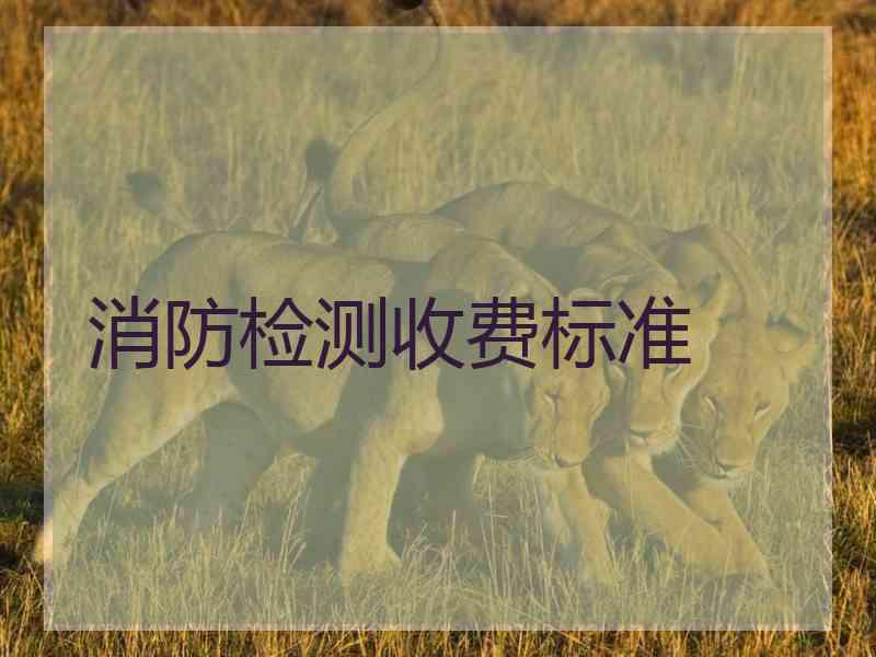 消防检测收费标准
