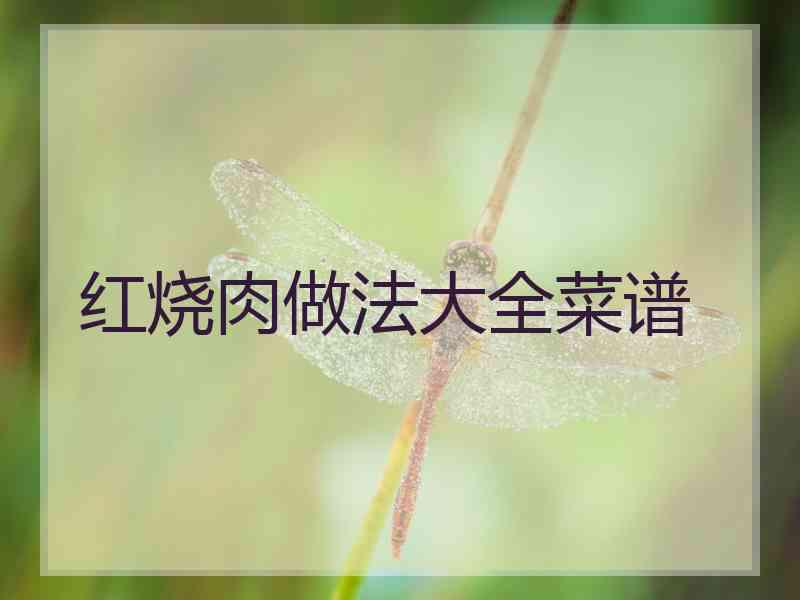 红烧肉做法大全菜谱