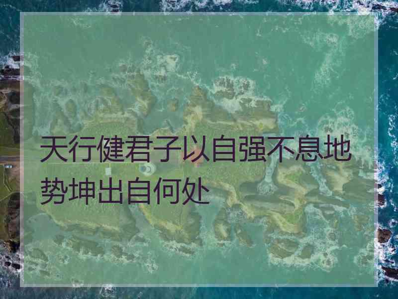 天行健君子以自强不息地势坤出自何处