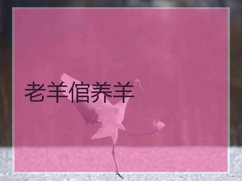 老羊倌养羊