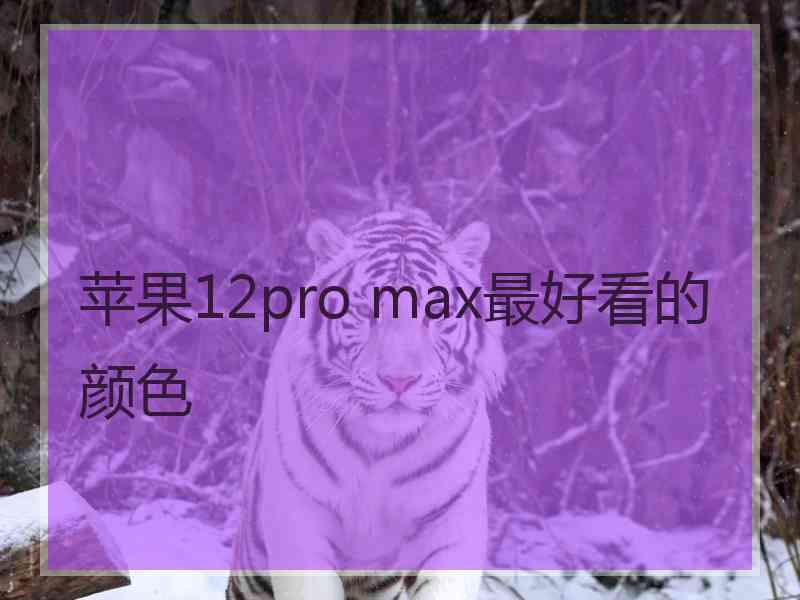 苹果12pro max最好看的颜色