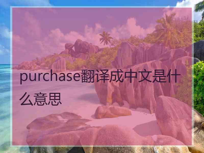 purchase翻译成中文是什么意思