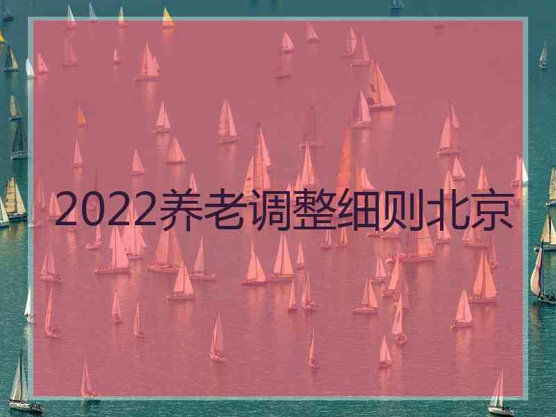 2022养老调整细则北京