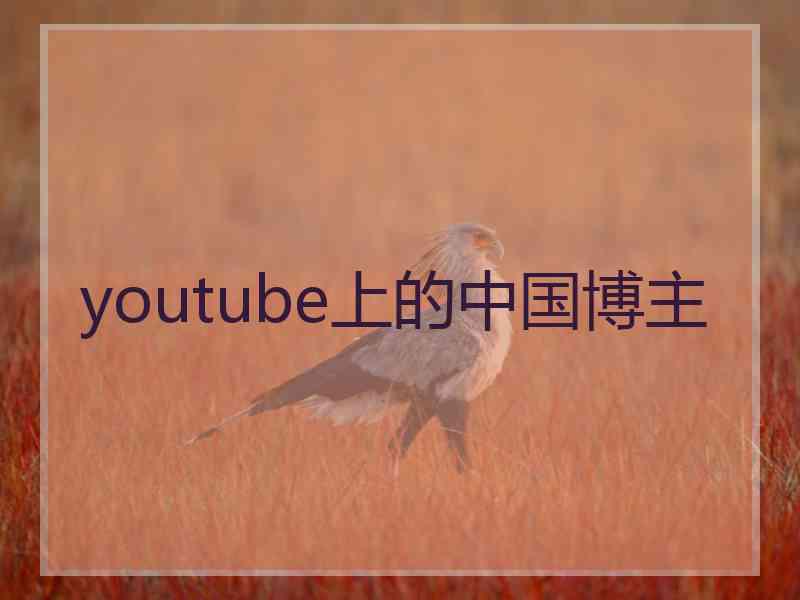 youtube上的中国博主