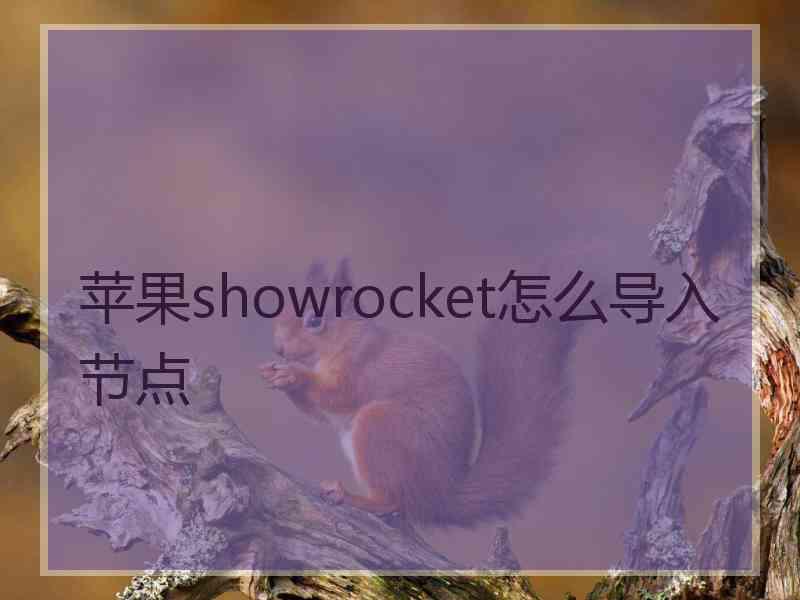 苹果showrocket怎么导入节点
