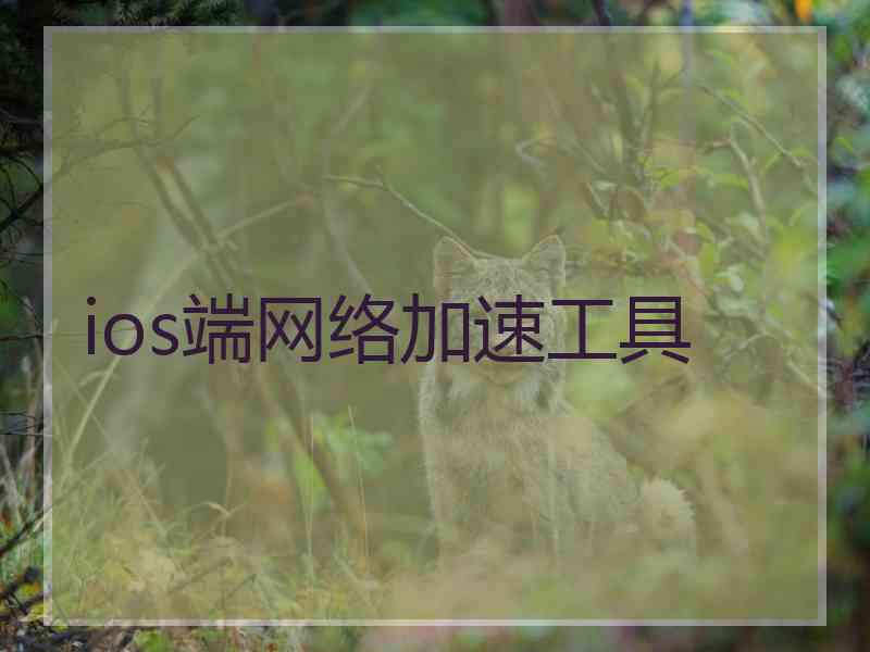 ios端网络加速工具