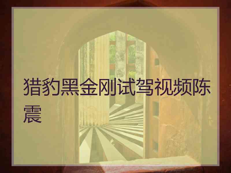 猎豹黑金刚试驾视频陈震