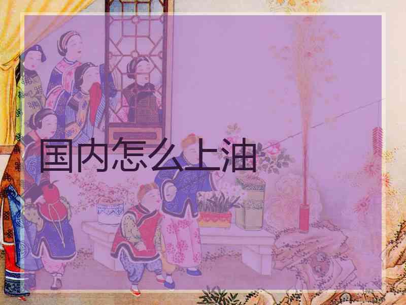 国内怎么上油
