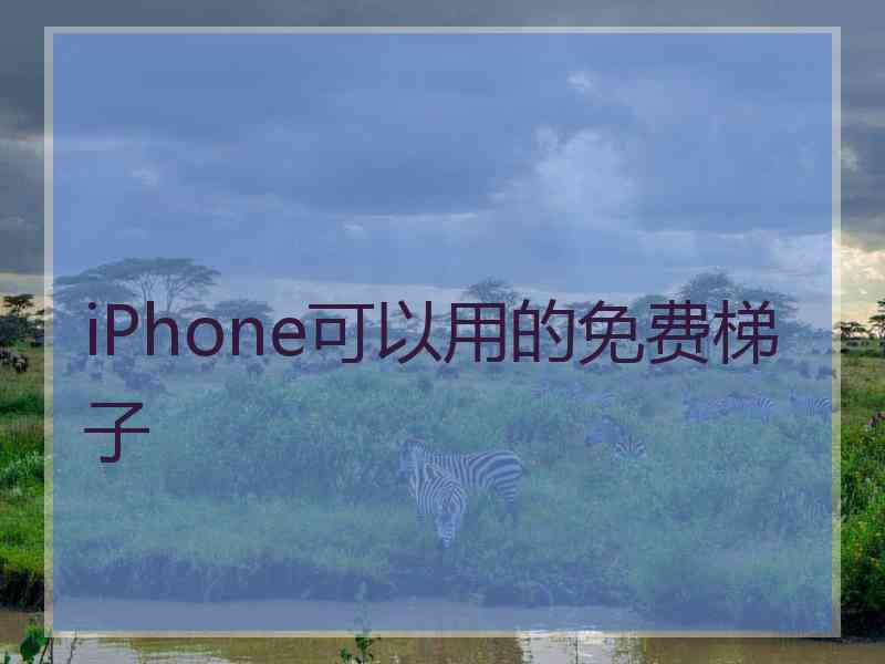 iPhone可以用的免费梯子