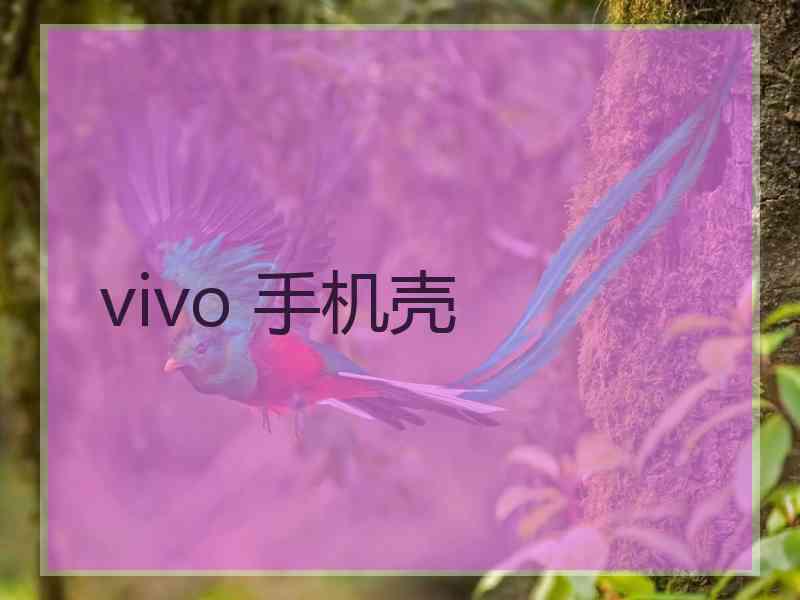  vivo 手机壳