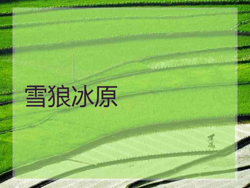 雪狼冰原