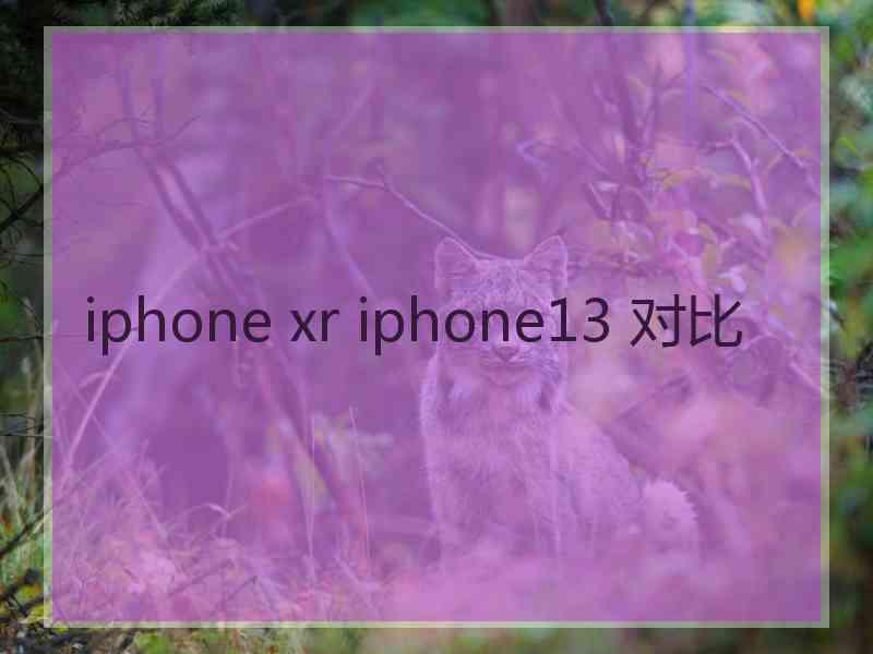 iphone xr iphone13 对比