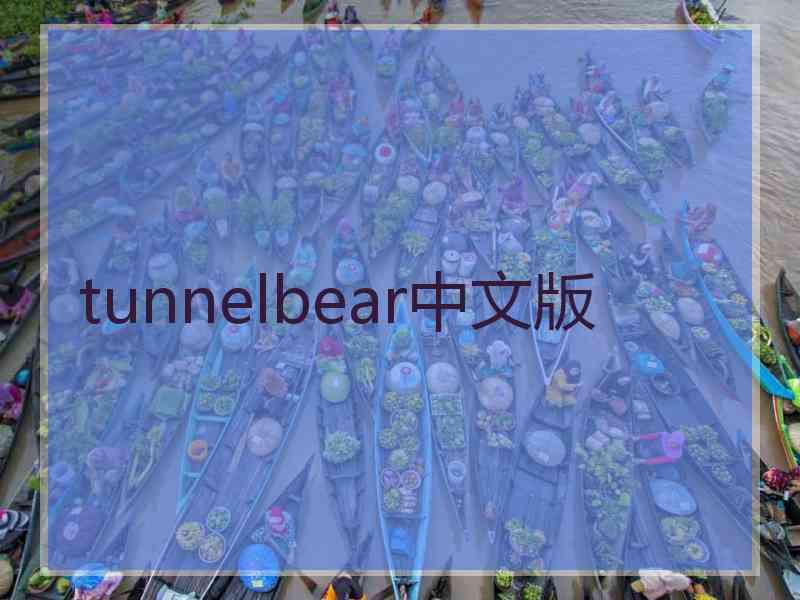 tunnelbear中文版