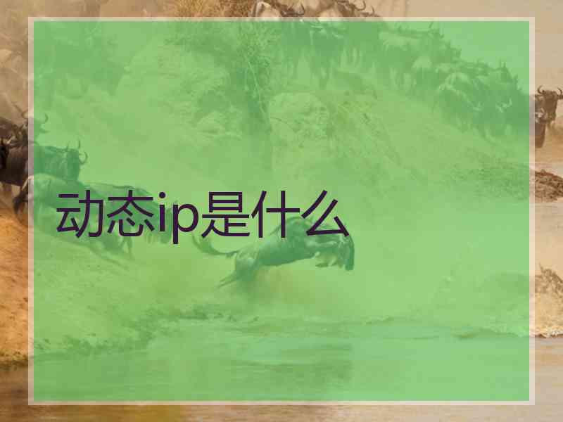 动态ip是什么