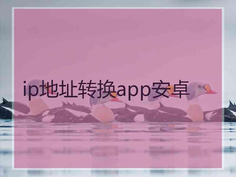 ip地址转换app安卓