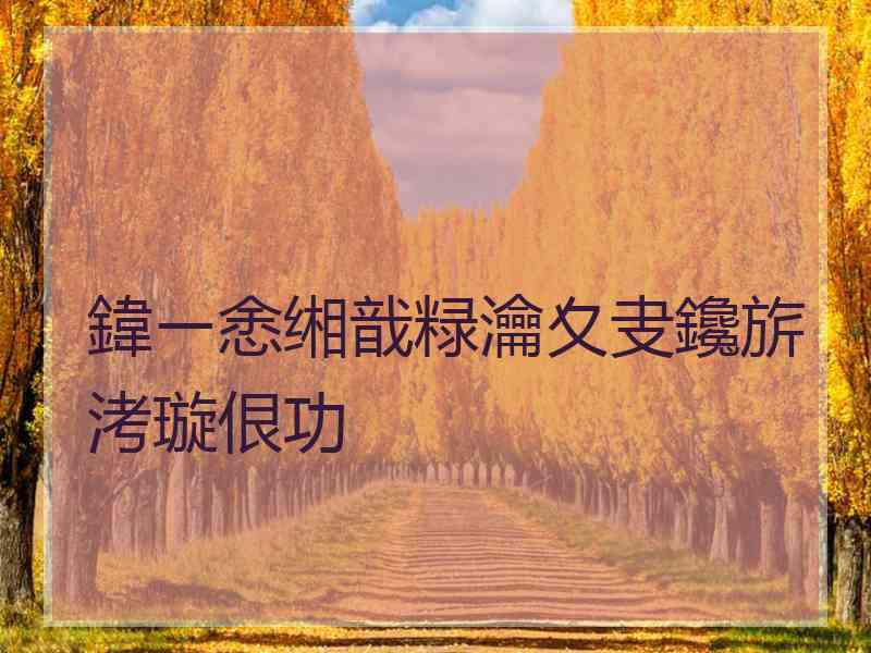 鍏ㄧ悆缃戠粶瀹夊叏鑱旂洘璇佷功