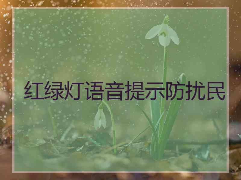红绿灯语音提示防扰民